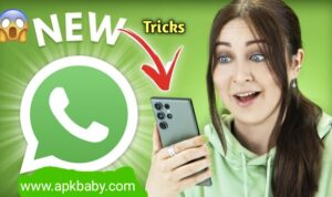Read more about the article How to Check WhatsApp Chat History and Details