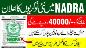 Read more about the article Apkbaby NADRA Jobs 2026 – Apply Online via NADRA Careers Portal